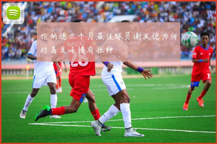 伦纳德三个月最佳球员谢泼德为何对乌度卡情有独钟