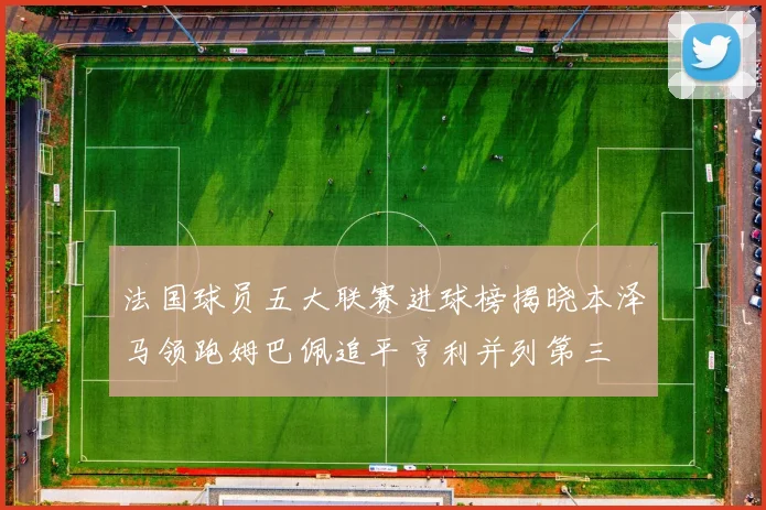 法国球员五大联赛进球榜揭晓本泽马领跑姆巴佩追平亨利并列第三