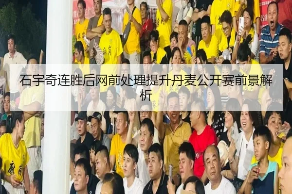 石宇奇连胜后网前处理提升丹麦公开赛前景解析 | LDSPORTS
